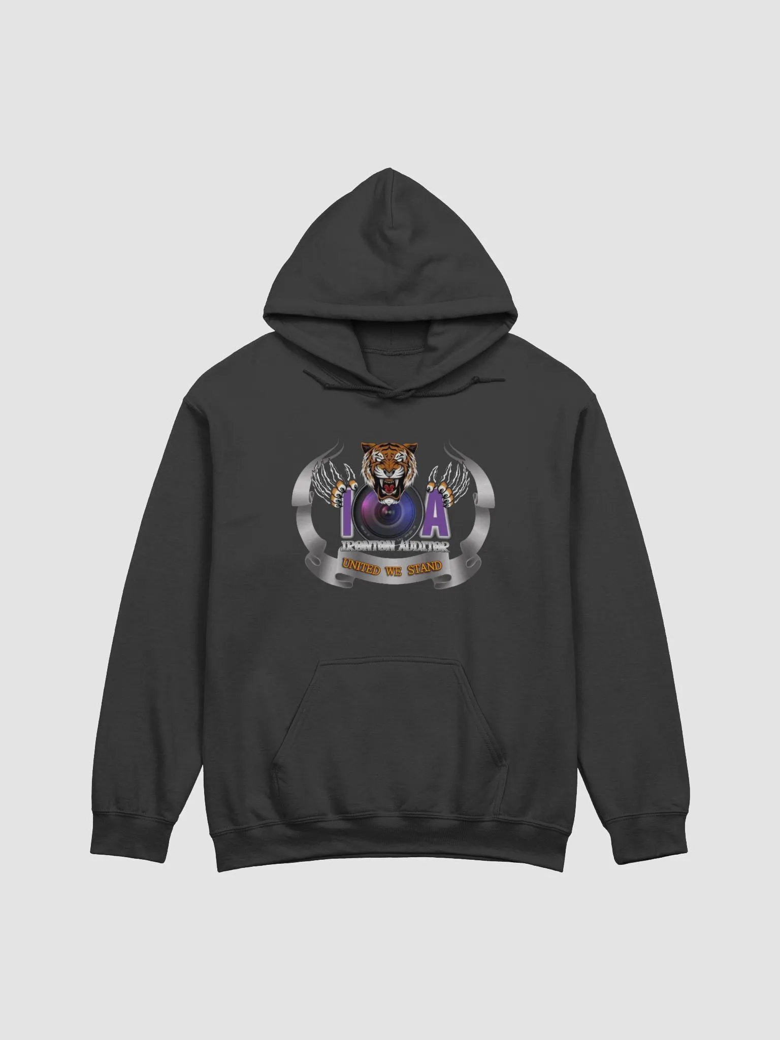 Ladies IA Hoodie product image (2)