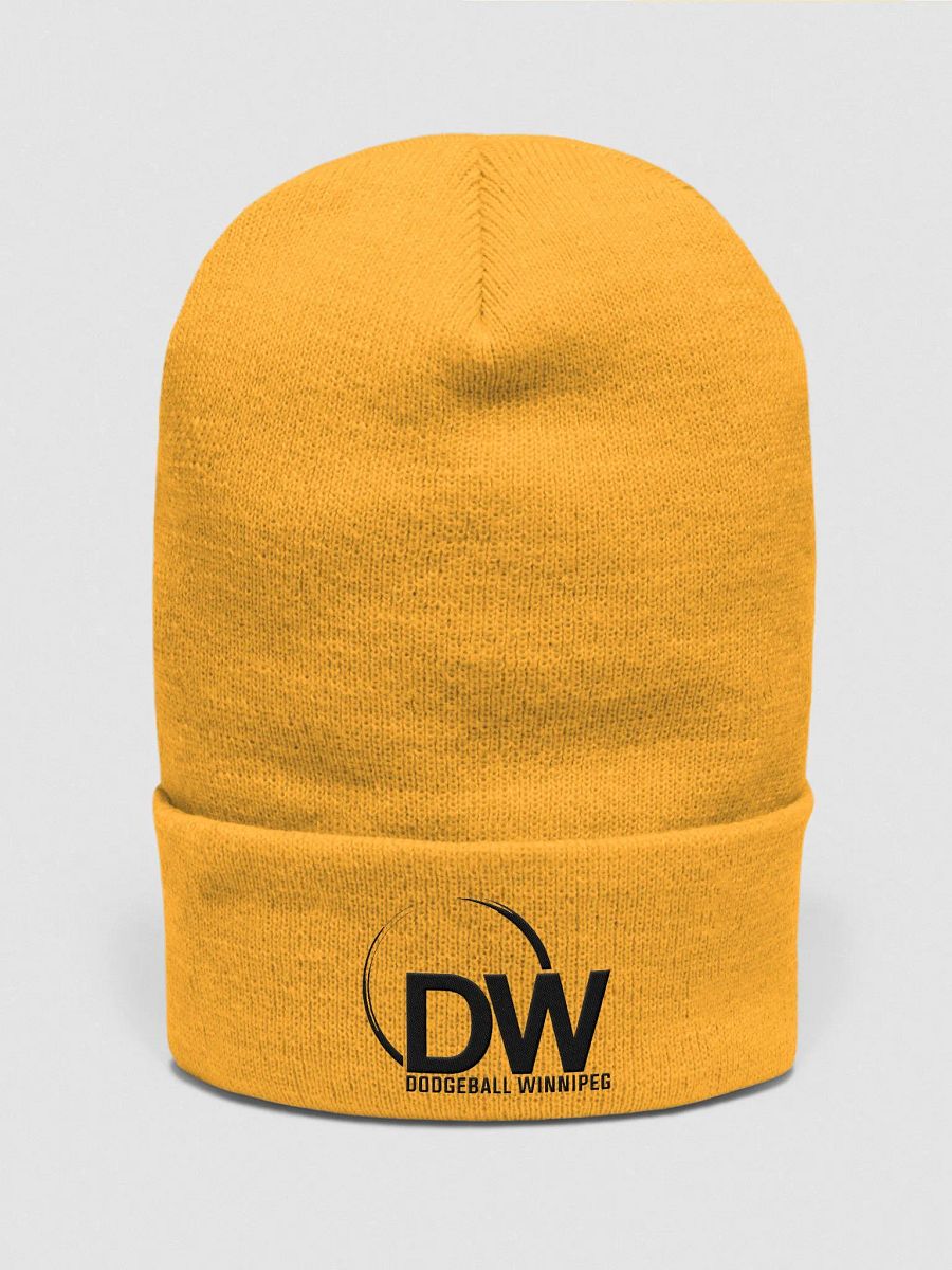 Dodgeball Winnipeg Toque (Dark) product image (2)