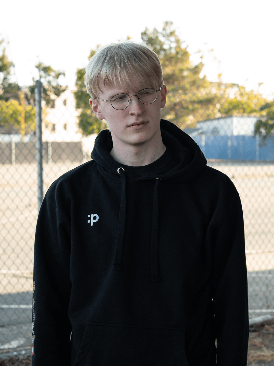 The Silly Hoodie product image (3)