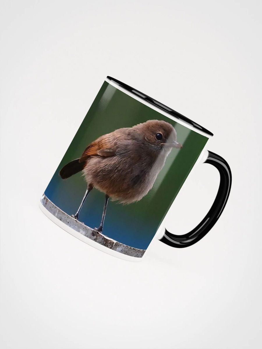 IUCAA Birds MUG product image (4)