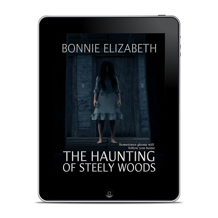 The Haunting of Steely Woods product image (1)