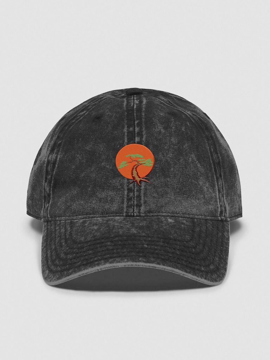 Retro Revival Vintage Dad Hat product image (1)