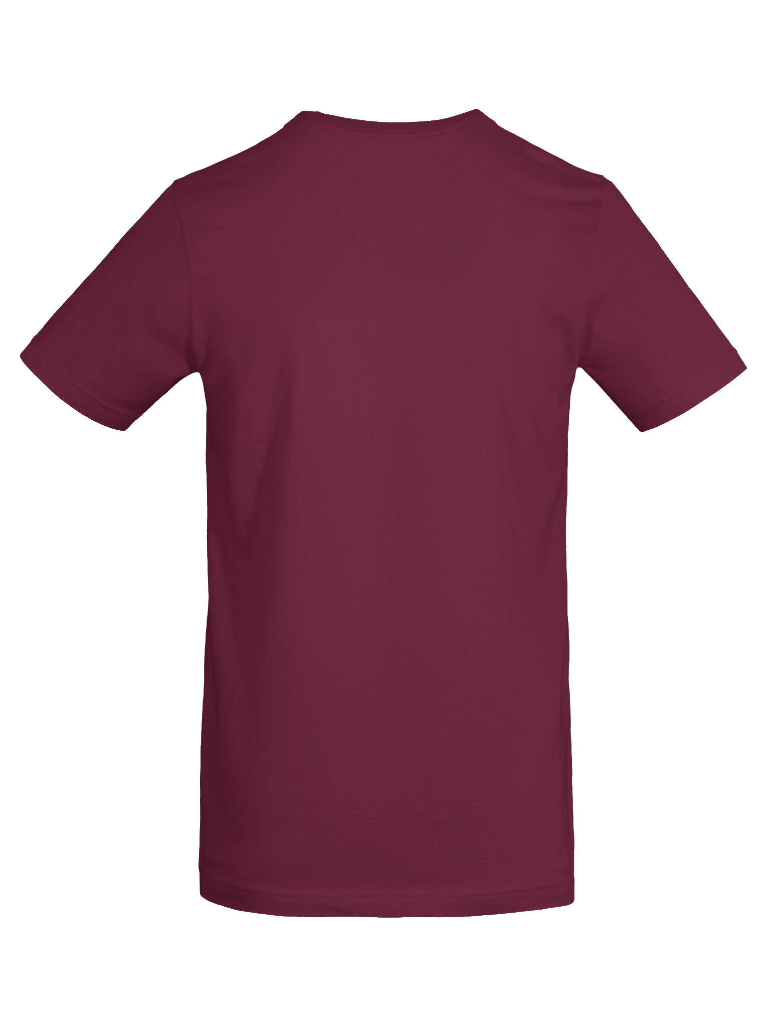 PASP “Hang In There” Tee product image (80)