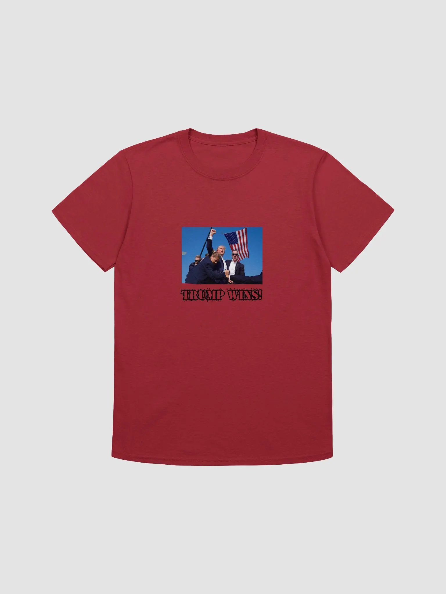 Trump Wins product image (1)