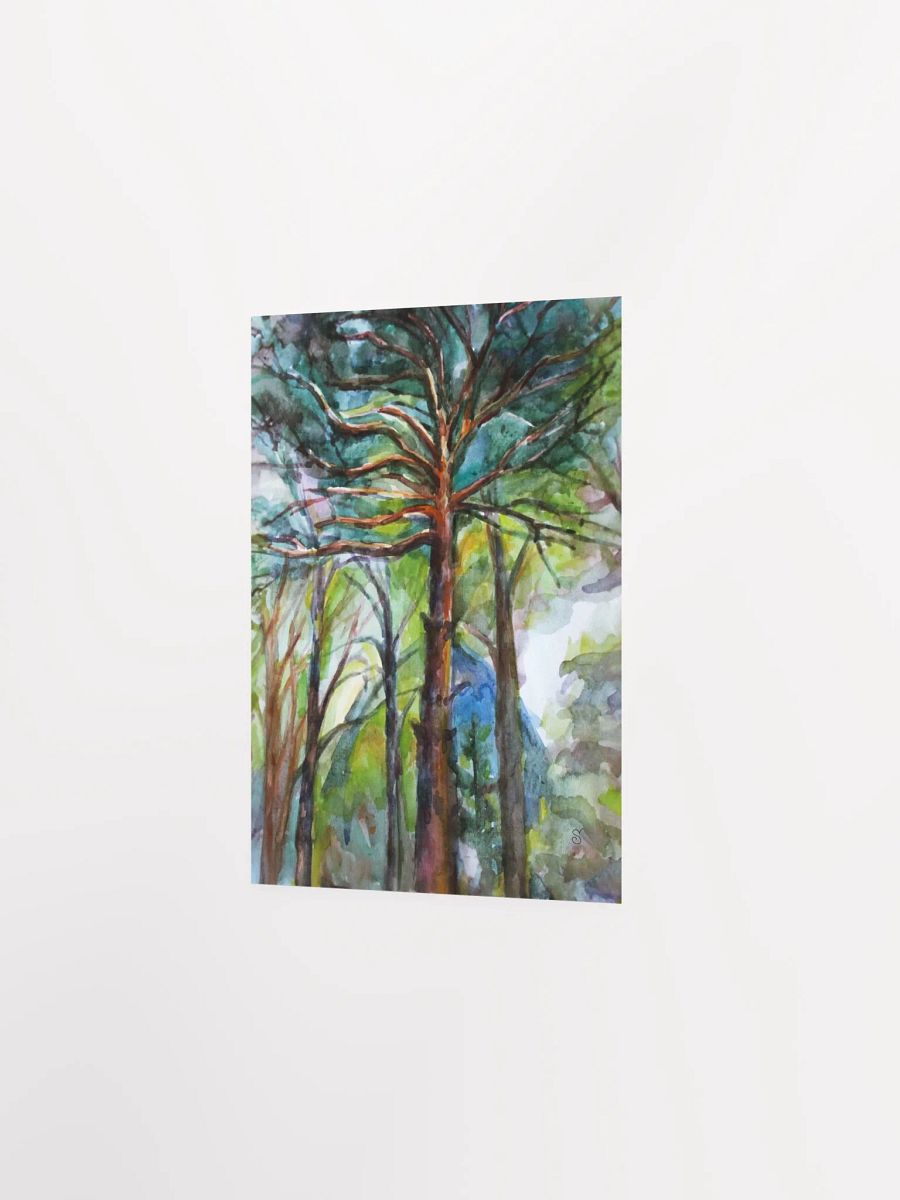 Enchanted Forest Watercolor Poster - Dacha Pine product image (3)