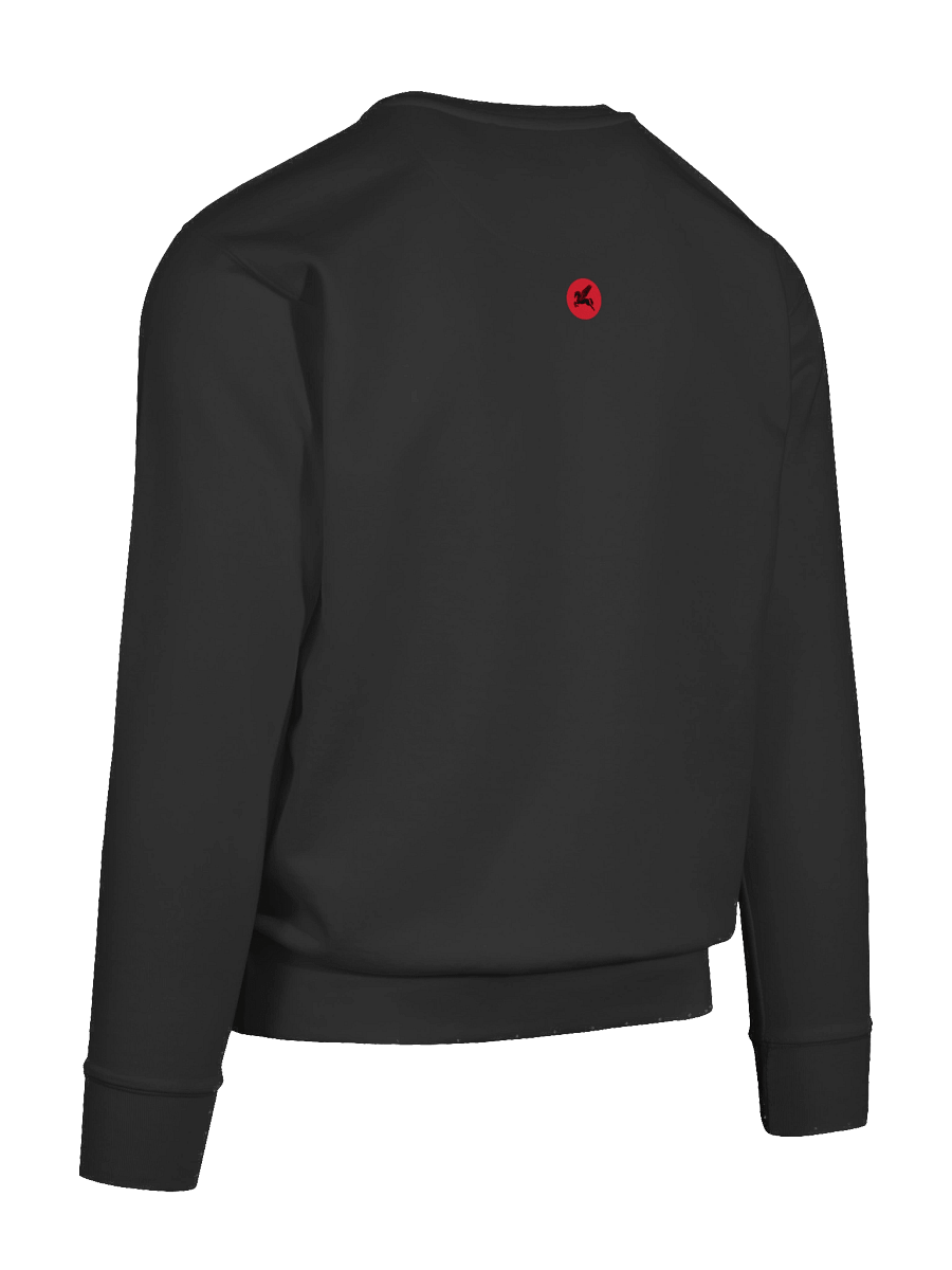 Mysteries of Mythology Hoodie - Distorted Logo Sweat product image (12)