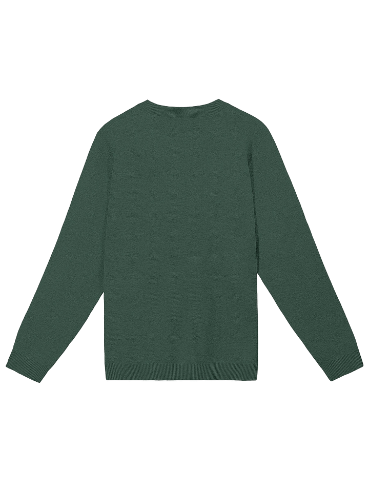 Holiday Joob Sweater product image (10)