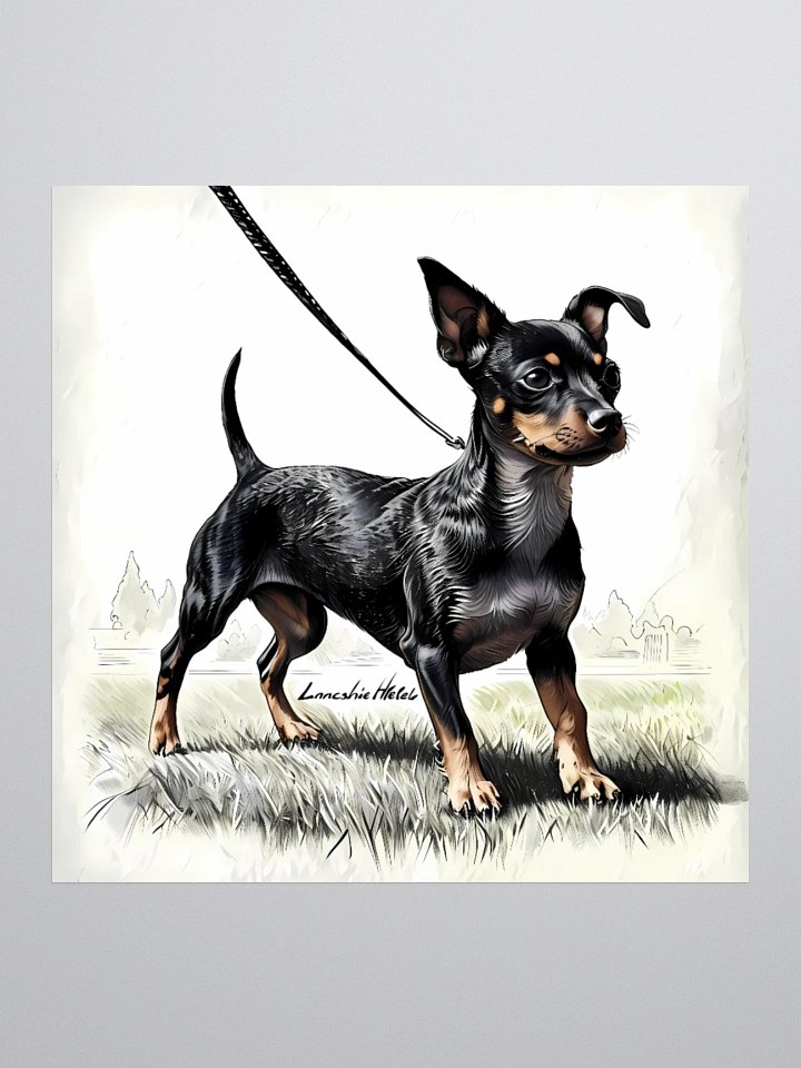 Lancashire Heeler Dog Art | Vintage-Style Portrait with Leash Detail product image (3)