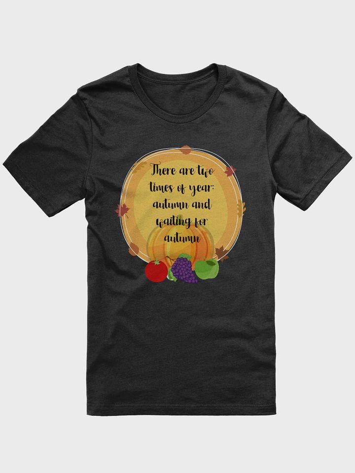 🍂 Two Times of Year: Autumn and Waiting for Autumn T-Shirt | Funny Fall Lover Shirt | Cute Autumn Season Tee product image (4)
