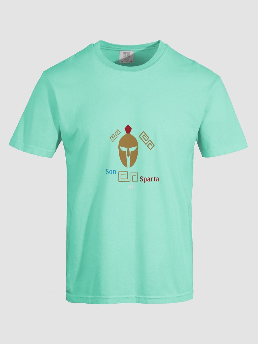 Spartan Crest Comfort Tee product image (7)
