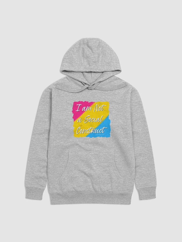 I am Not a Social Construct - Pan (2) - Hoodie product image (1)