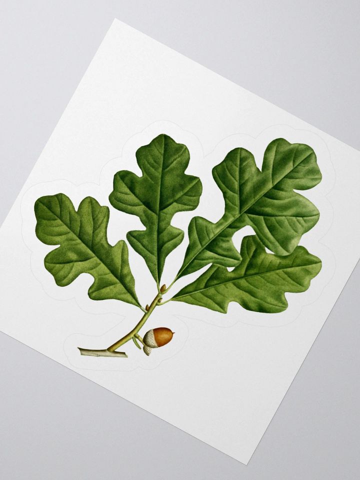 Post Oak Sticker product image (2)
