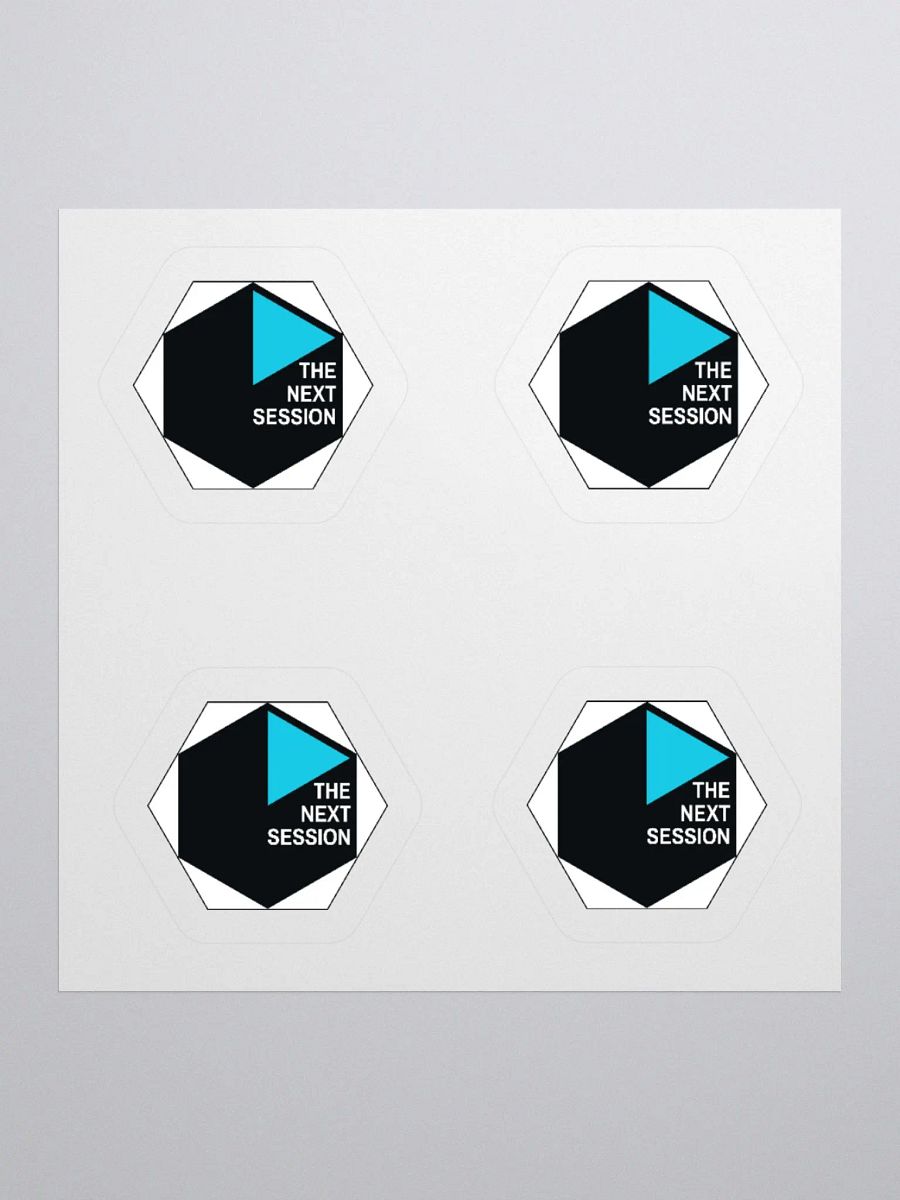 TNS Logo Sticker 4-pack product image (9)