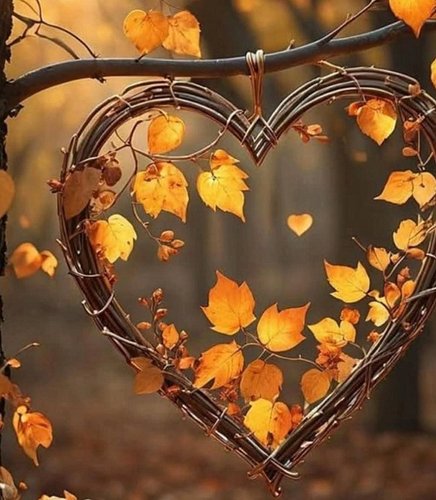 Happy 1st Day of Fall! 

#happycreations #fallvibes #autumn #bestseason