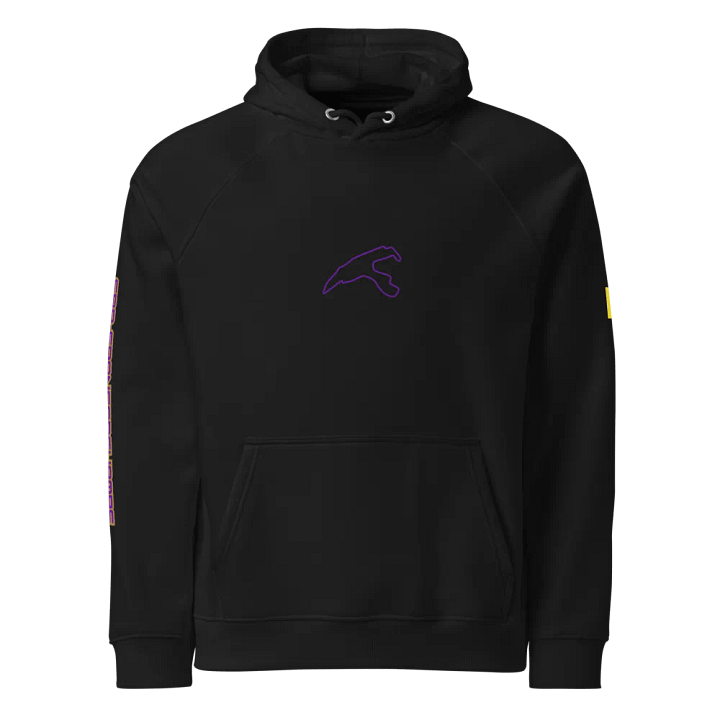 CIRCUIT DE SPA-FRANCORCHAMPS Eco Raglan Hoodie product image (1)