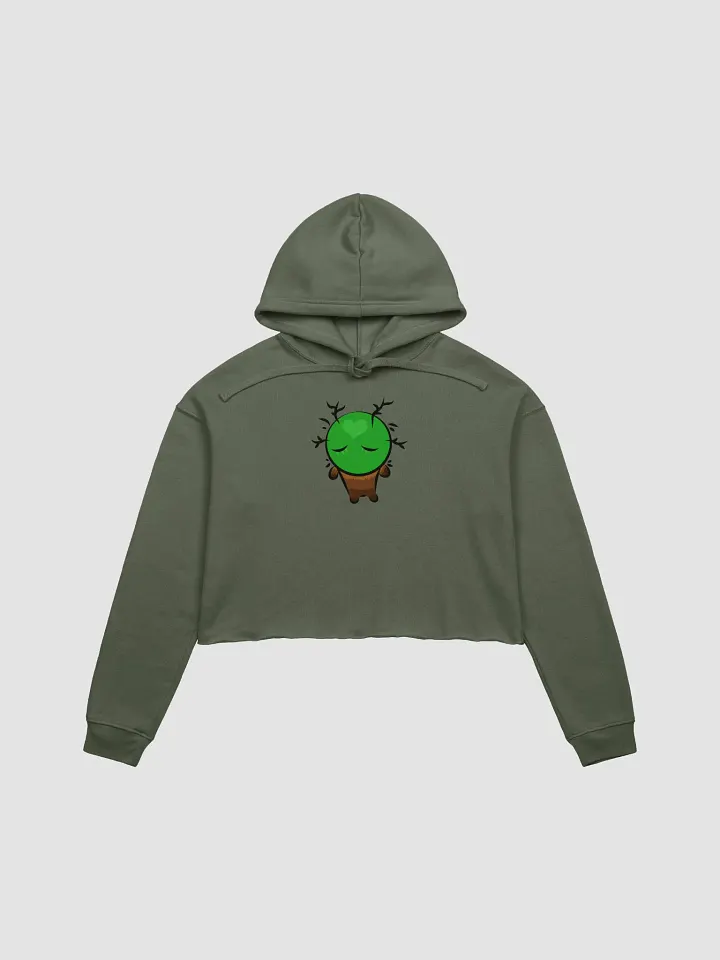 Frank Heart Fleece Crop Hoodie product image (1)