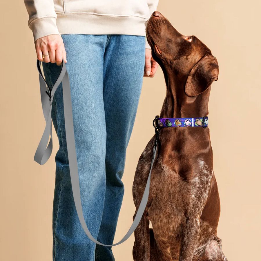 ''patates intergalactiques'' Collier pour animal (L) product image (4)