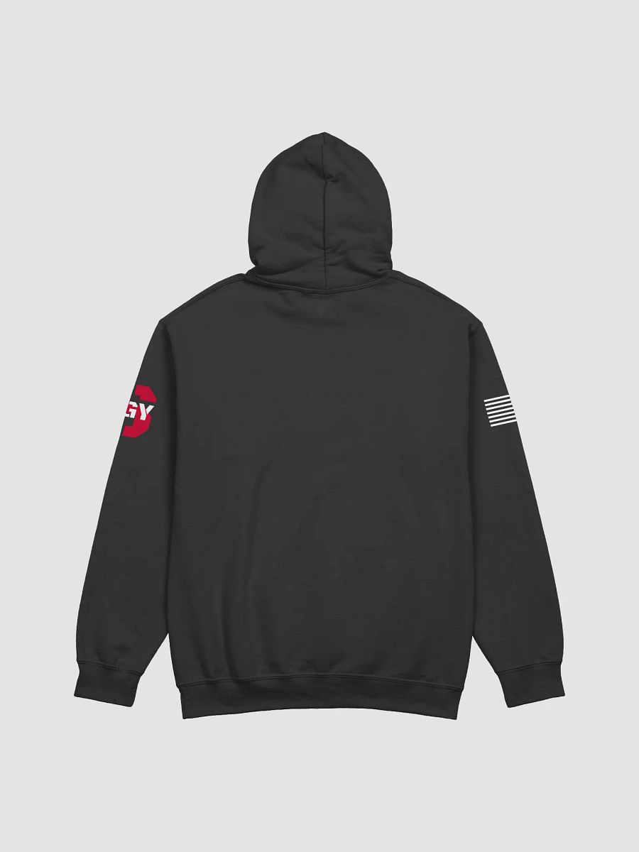 Official Asylums Hoodie product image (3)