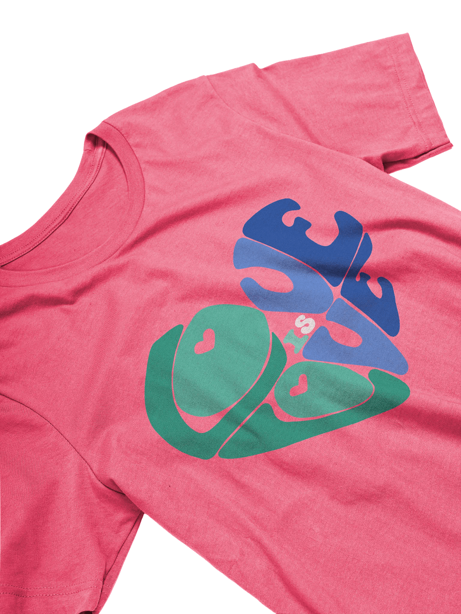 Gay Love is Love big print tee product image (3)