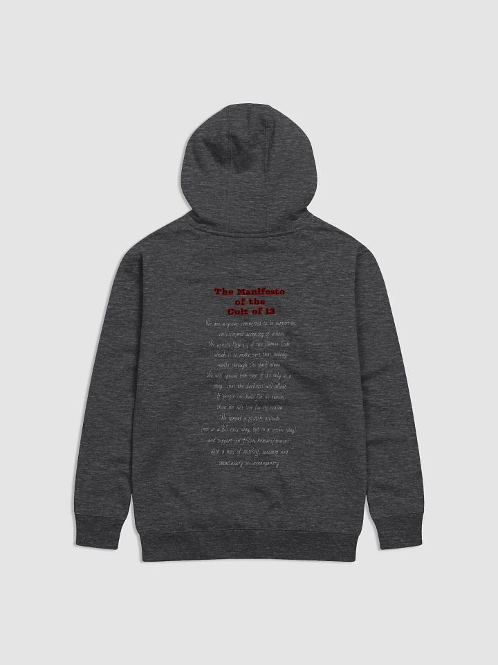 Manifesto Hoodie product image (5)