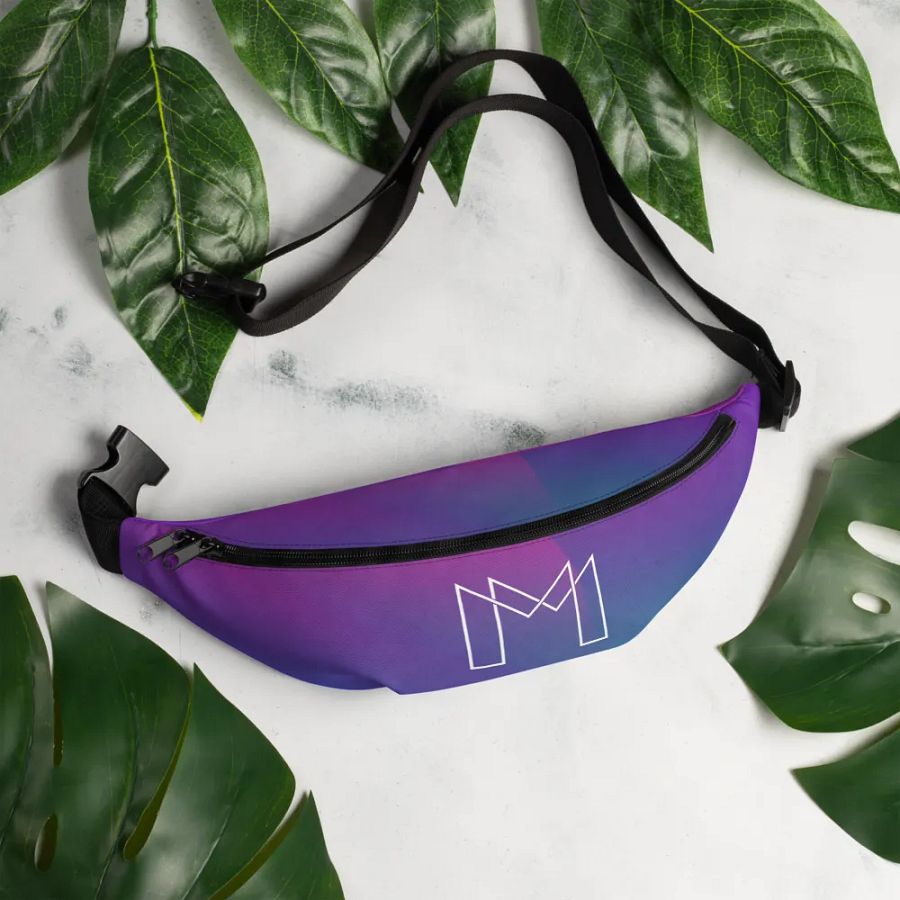 Fanny pack! product image (5)