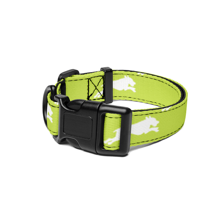 NEW Lemon-Lime Collar product image (1)