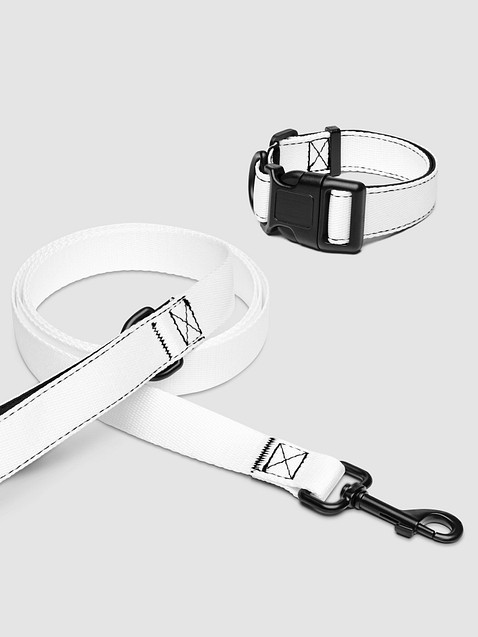 Photo showing Pet Collar & Leash