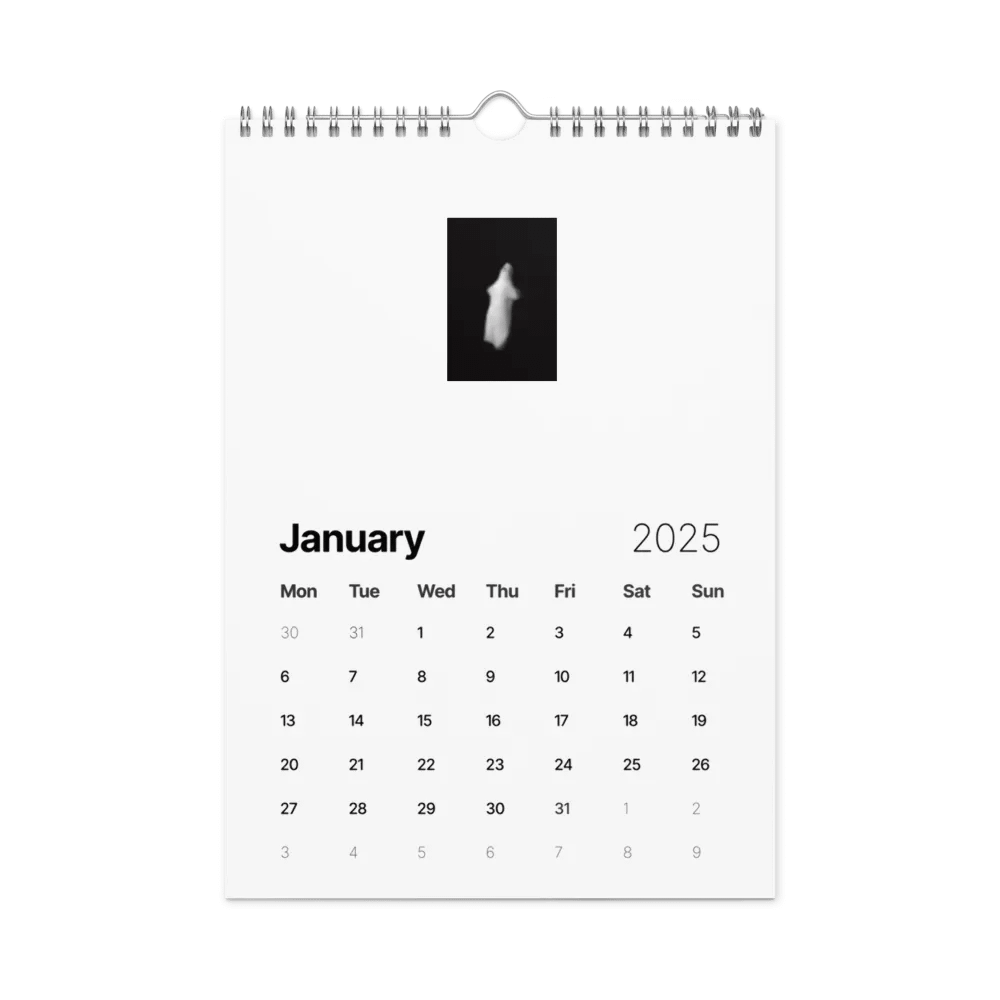 Dave The Ghost Calendar V1! product image (6)