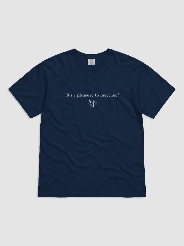 "It's a pleasure to meet me" T-Shirt product image (2)