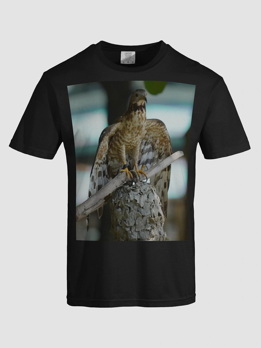 Cloud Comfort: Garment-Dyed Tee product image (5)