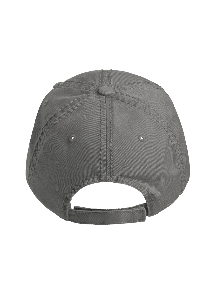 Classic Distressed Dad Hat product image (3)