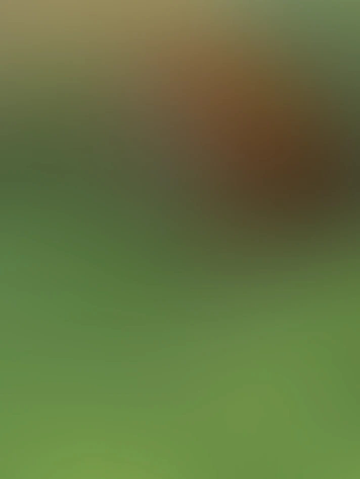 Video thumbnail background