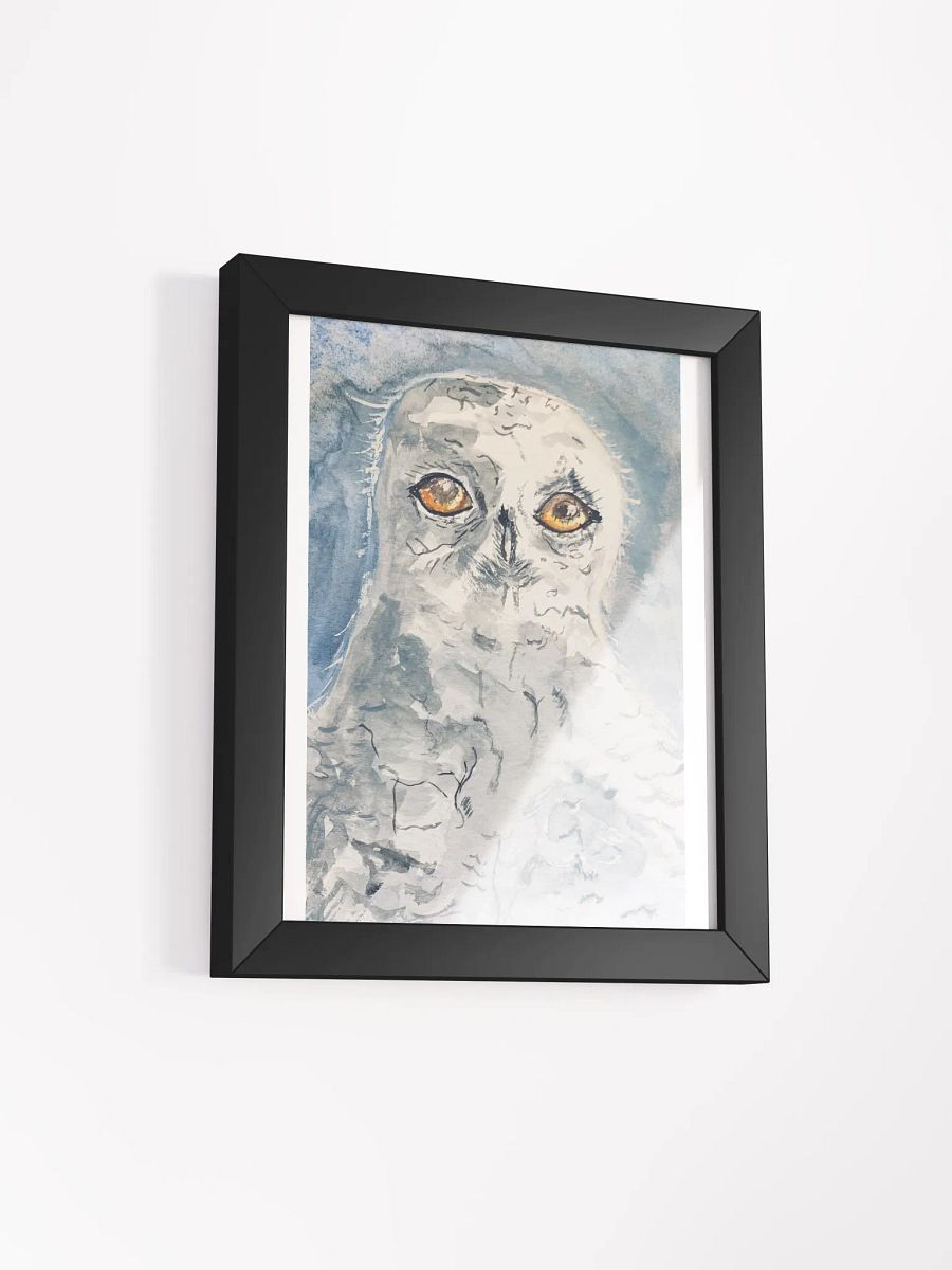White Owl product image (5)