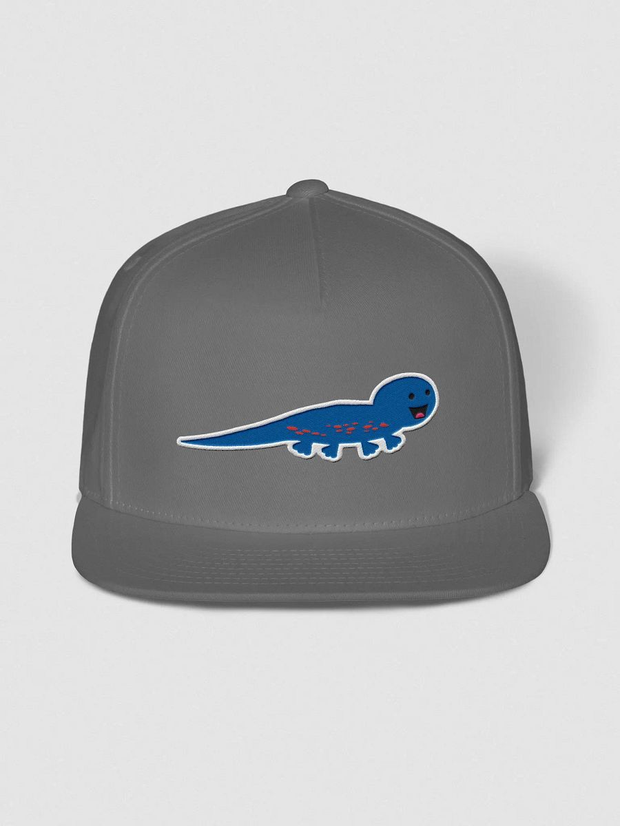 Salamander Hat product image (1)