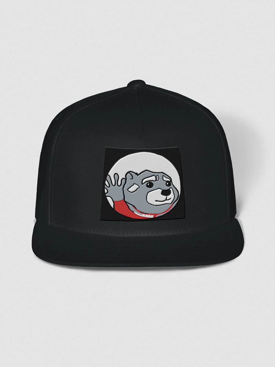 Pedro Snap Back product image (7)