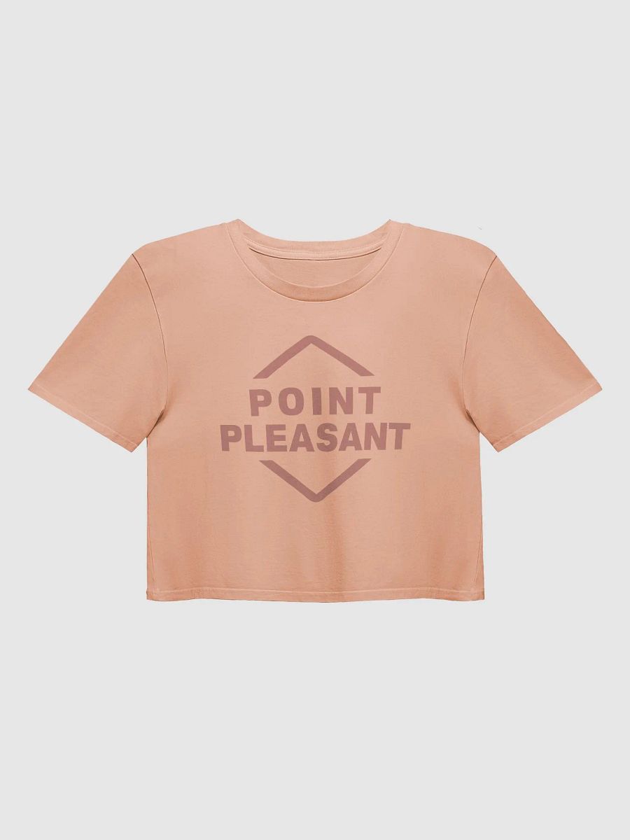 Lost Records: Bloom & Rage Point Pleasant Crop Top product image (6)