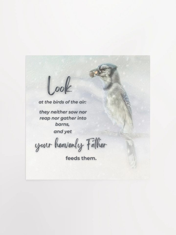 Birds Of The Air product image (2)
