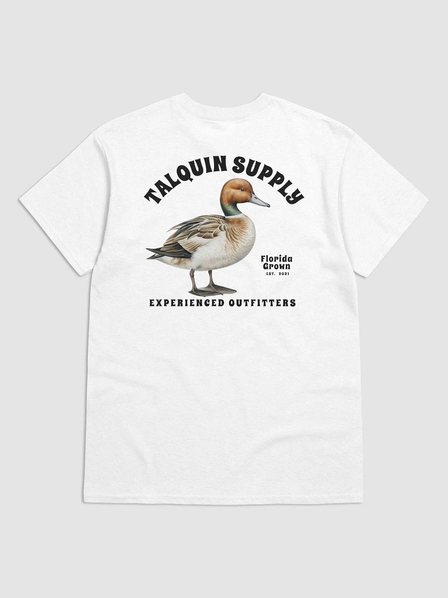 Northern Pintail product image (2)