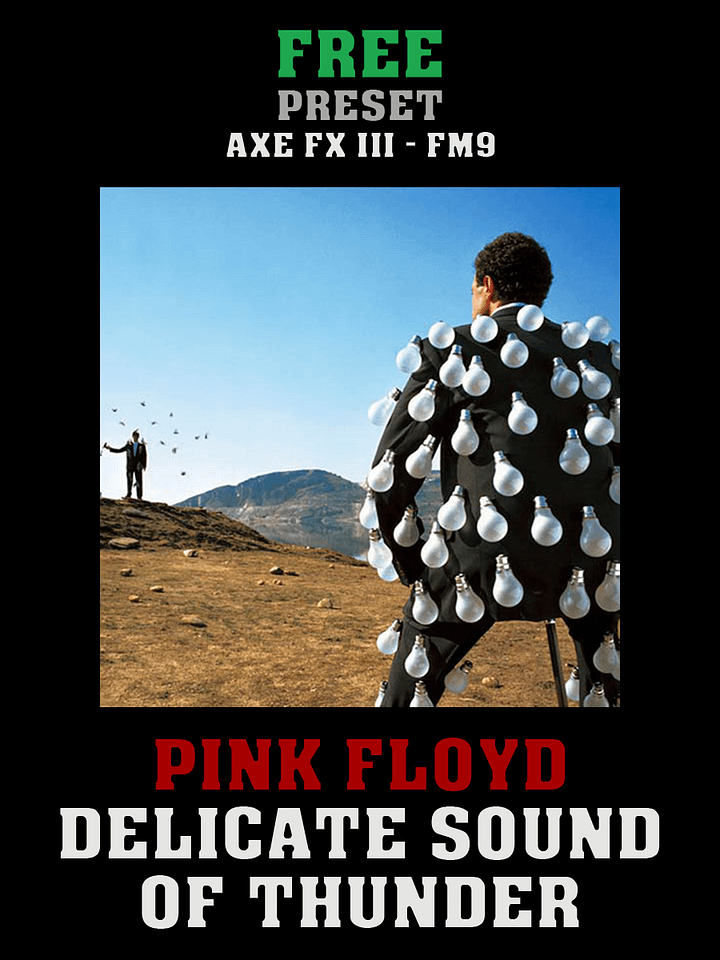 Pink Floyd - Delicate Sound Of Thunder (Full live rig) AxeFXIII/FM9 Preset product image (1)
