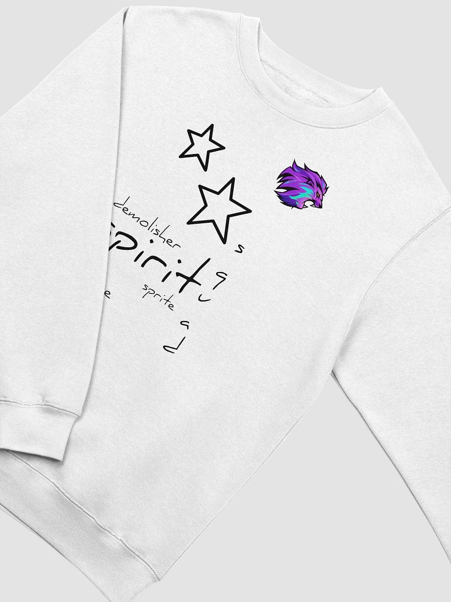 Spirit Squad Merch product image (3)