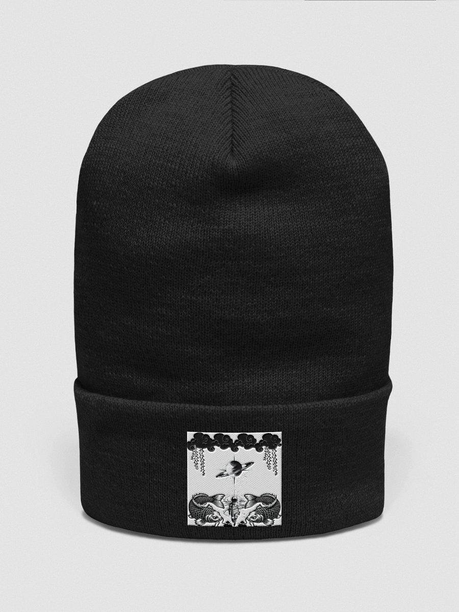 Hobbies Beanie product image (1)