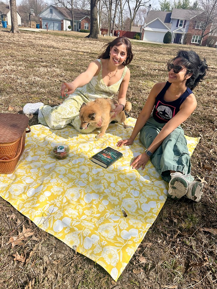 Picnic Blanket product image (1)