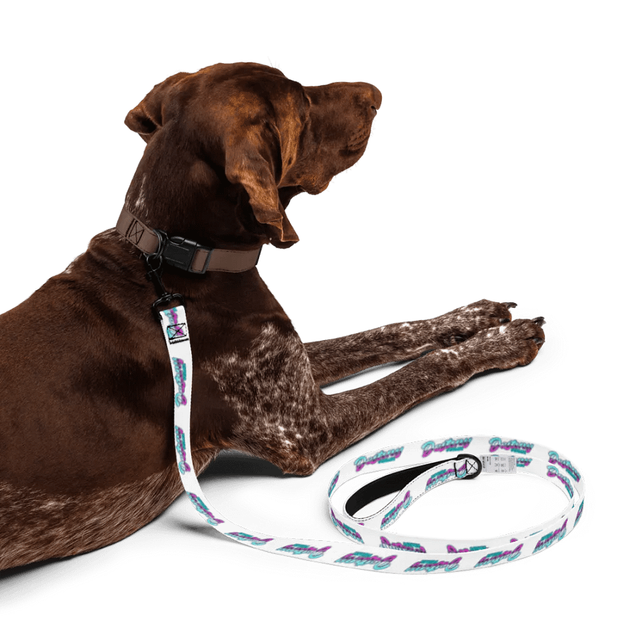 ASMR Destiny Pet Leash product image (3)