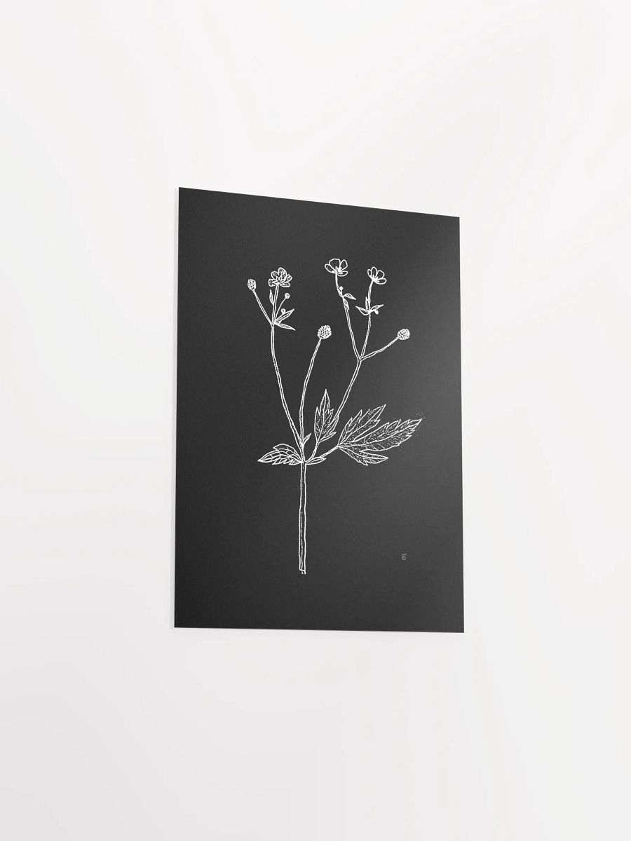 Botanical Bliss Matte Poster - Wild Flowers Dark Stylish product image (3)