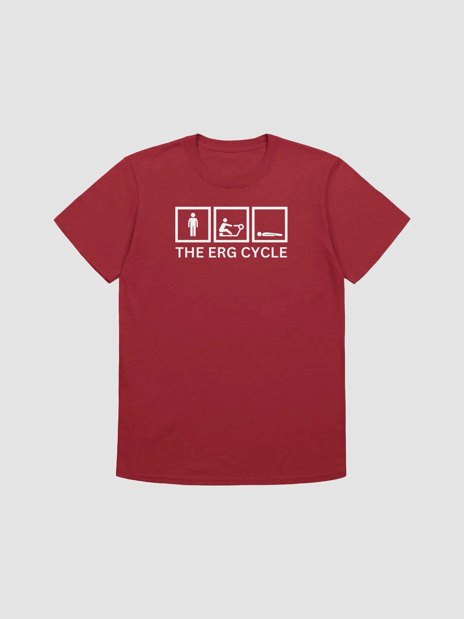 The erg cycle product image (1)