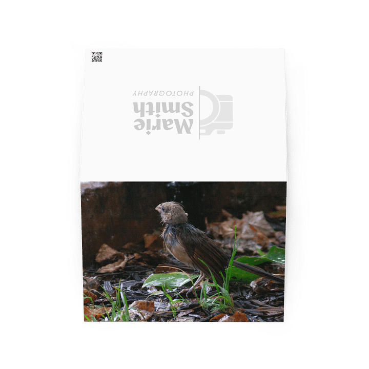 Rainy Day Bird Greeting Card product image (2)