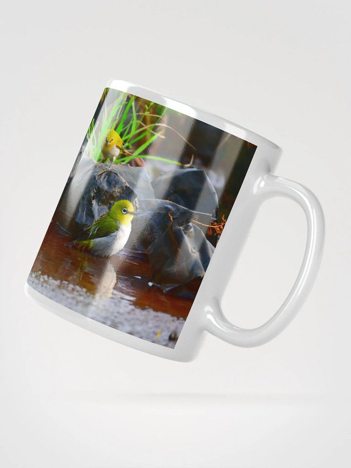 IUCAA Birds MUG product image (2)