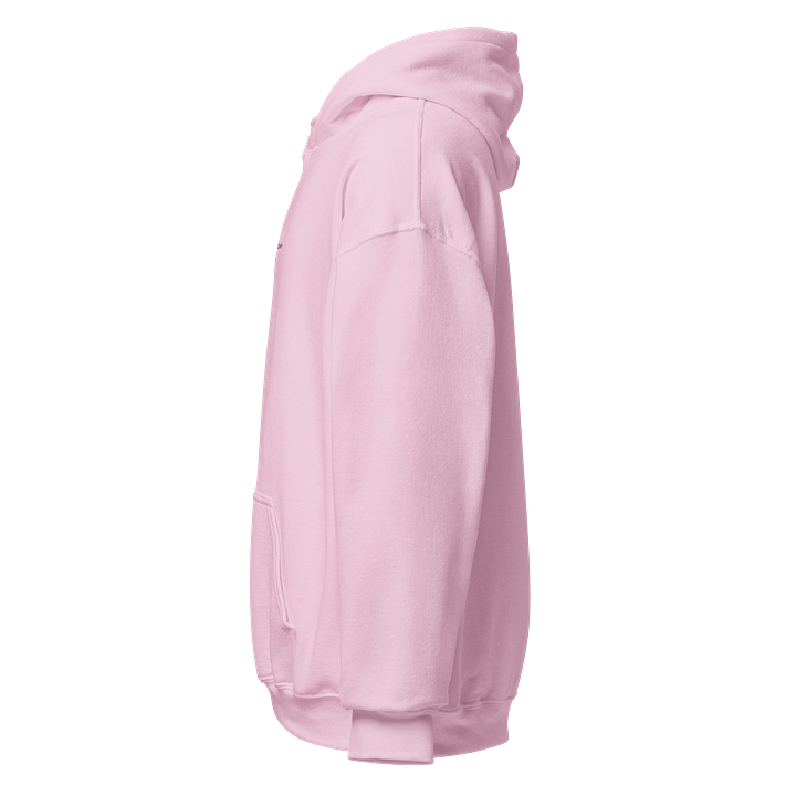Embroidered Hoodie product image (2)