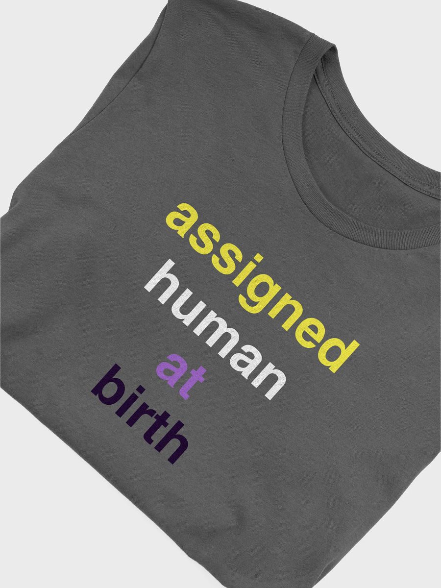 assigned human at birth nonbinary t-shirt product image (5)