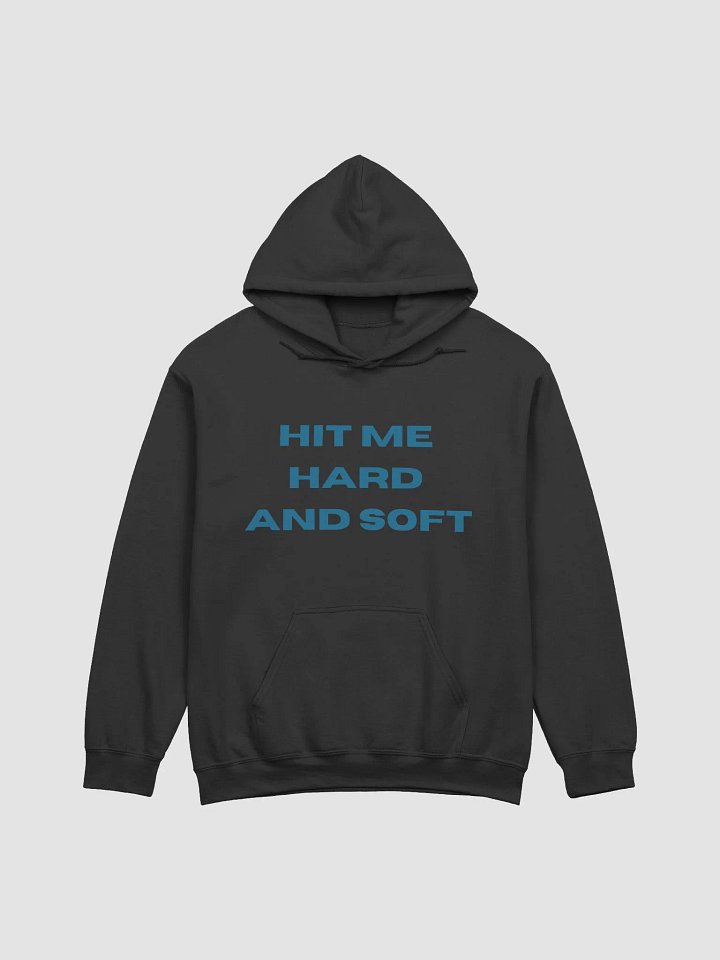 HIT ME HARD AND SOFT X BLOHSH | HOODIE product image (2)